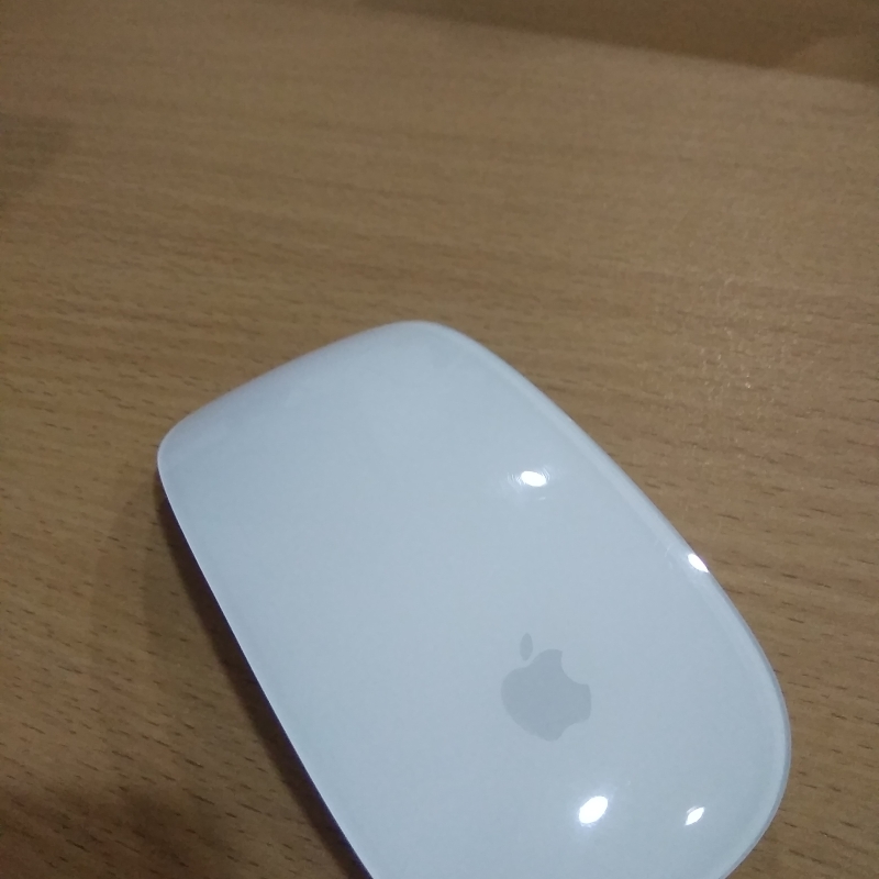 Test Mouse