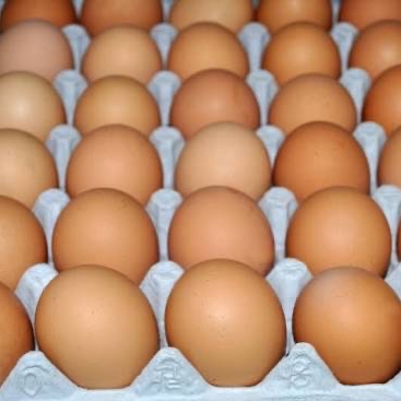 Paket 30 Butir Telur Ayam Negeri Spesial