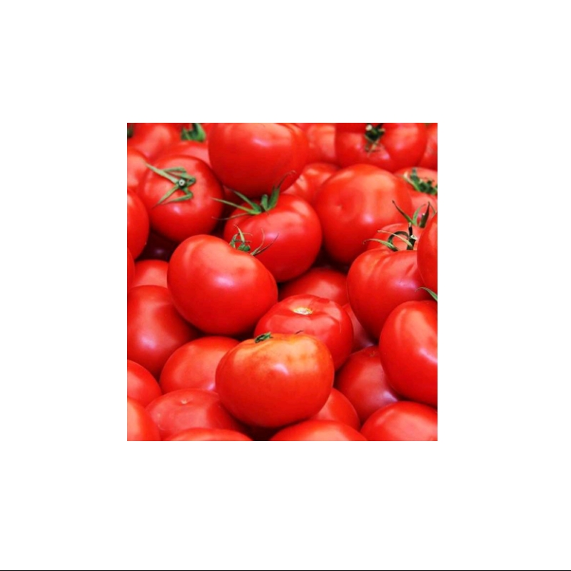Tomat Merah Fresh 500 Gr Untuk Sayur Sop Sambal Pasar Murah Bandung