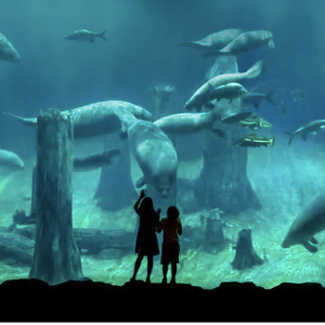 Get Your Special Pass To The River Wonders Here